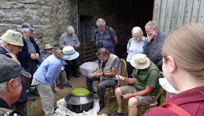 Naturalists delighted to see rare butterfly at Dales farm