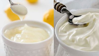 Curd Vs Yoghurt: Which One Is Healthier For Body And Mind?