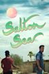 Salton Sea