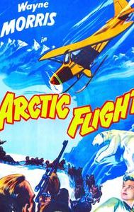 Arctic Flight