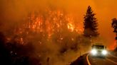Combaten incendio forestal en California
