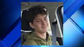 Livonia police want help finding missing 15-year-old boy