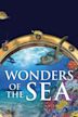 Wonders of the Sea 3D