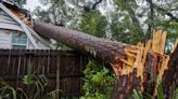 Deadly thunderstorms and strong winds in Florida leave destruction in their wake
