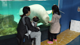 Free Bella: Activists Urge To Release Captive Beluga From Mega Mall In South Korea