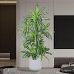 造景  裝飾花  假花  北歐大型仿真綠植巴西木高端輕奢室內客廳擺設仿真盆栽植物紅鐵樹 NS4Z