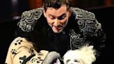 David Tennant Brings Dog 'Bark Ruffalo' to the 2024 BAFTAs After Michael Sheen Asked Him to Pet Sit