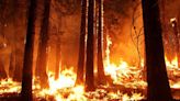 Gone in a puff of smoke: 52,000 square kilometers of 'long unburnt' Australian habitat has vanished in 40 years