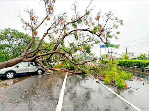 （台南）瞬間大雨積淹水 樹倒壓毀2車