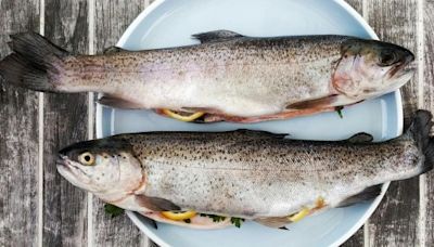 Salud: Conoce los riesgos de consumir aceite de pescado