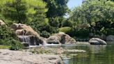 Rediscover Arizona: Zone-in on your zen at Phoenix's Japanese Friendship Garden