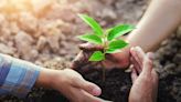 Tree planting effort kicks off at this Fresno park