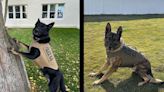 Public invited to skills competition during police K9 conference in Idaho Falls - East Idaho News