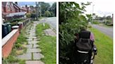 No Mow May 'excuse' leaves towns looking 'like something from a disaster movie'