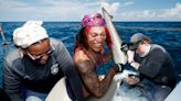 Move over, drag brunch. This queen is turning to tagging sharks for research.