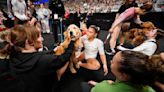 A golden retriever provided comfort and calm to gymnasts at the Olympic trials. How pet therapy works.