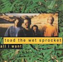 All I Want (Toad the Wet Sprocket song)