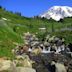 Parque nacional del Monte Rainier