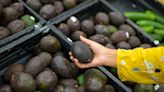 Major retailer tests new method to label avocados in supermarkets — here's why it matters