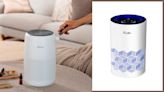 Allergy season has arrived and air purifiers are on sale at Amazon