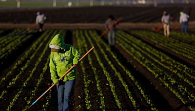 Tracking the trouble and hope that define the American farm