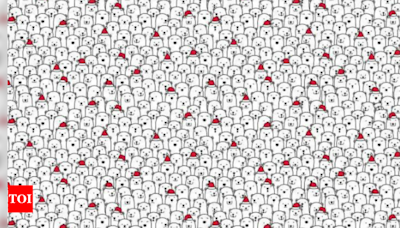 Brain teaser: Spot the dog in this sea of polar bears - Times of India