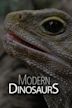 Modern Dinosaurs