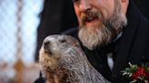 Here's what Punxsutawney Phil's groundhog babies were named