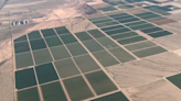 Saudi company draws unlimited Arizona ground water amid drought