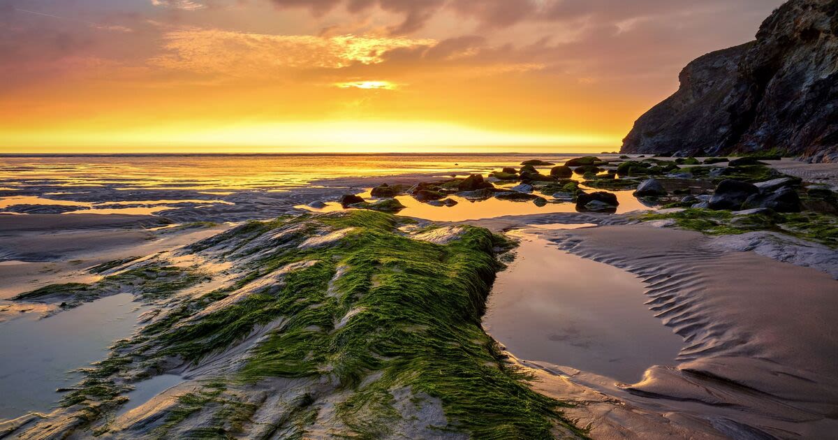 The tiny English seaside village so pretty it's been dubbed UK's California