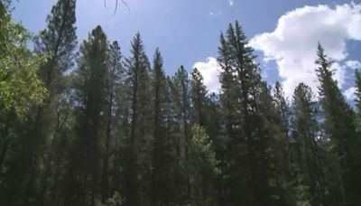 Santa Fe National Forest issues partial camping closure order to ‘prevent further resource damage’