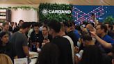 Cardano Blockchain Transactions Jumped 49% in Q2 on Network Upgrades, New Users