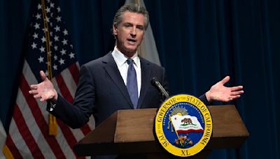 Gavin Newsom's four-word riposte to Elon Musk