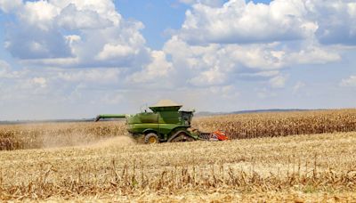 Paraná inicia colheita de milho safrinha com piora na qualidade das lavouras