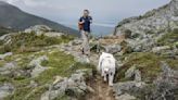 Dog owners beware: treats full of fish hooks found on Appalachian Trail