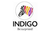 Indigo Paints