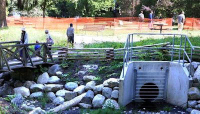 Restoration of long-buried Tatlow Creek is now complete: Vancouver parks