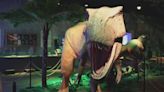 Volo Museum celebrates three years of Jurassic Gardens