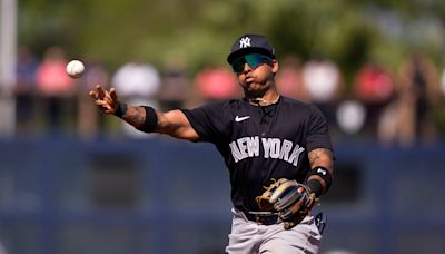 Yankees call up infield prospect Jorbit Vivas