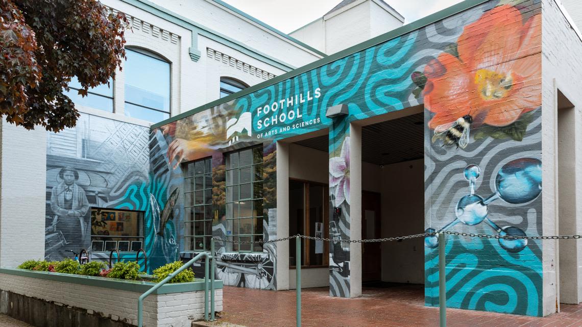 Foothills School of Arts and Sciences unveils new Sector Seventeen mural