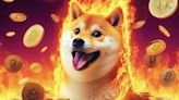 SHIB Burns Skyrocket 5,803%: 26.4 Million Shiba Inu Sent Ablaze in Meme Coin Surge - EconoTimes