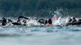 Triathlon féminin : les athlètes ont plongé dans la Seine pour la première épreuve des JO