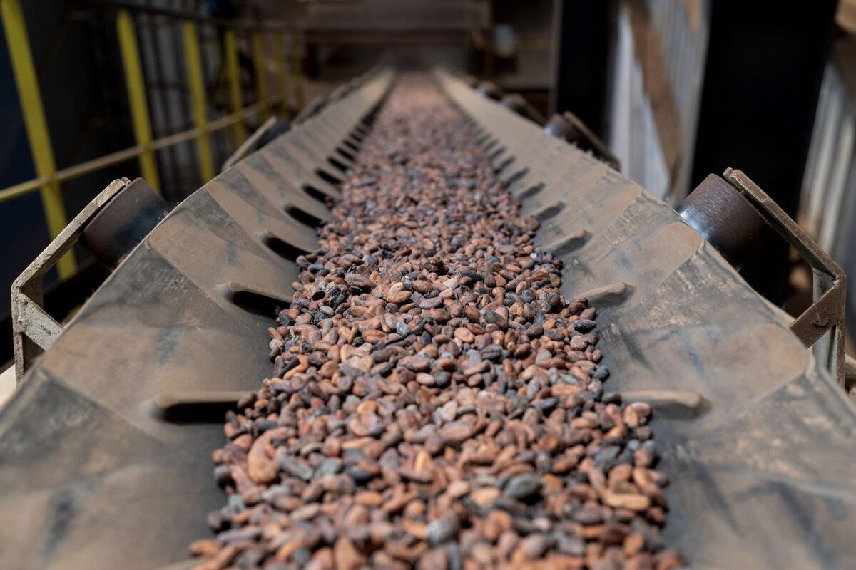 Top Cocoa Producer Ivory Coast Suspects Fraud in Fairtrade Beans