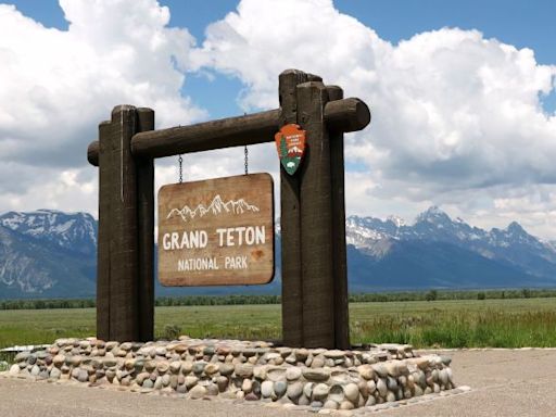 Grizzly bear attack at Grand Teton National Park leaves man seriously injured