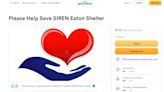 Eaton County's SIREN shelter launches online fundraiser after 'theft' of money
