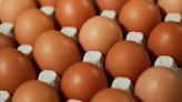 【更新】陳吉仲鬆口「明年也可能缺蛋」 7措施防雞蛋專案進口常態化