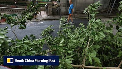 Hong Kong back in business after Super Typhoon Yagi topples trees, injures 9