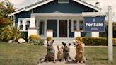 Zillow Pays Homage to Bluey With Ad About Selling Your Home