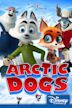 Arctic Dogs