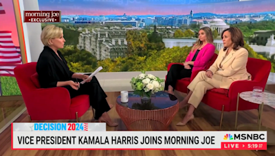 MSNBC host complains to Kamala Harris the race is too close with Trump: 'What's going on?'